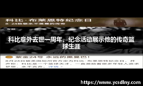 金年会平台