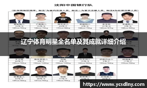 辽宁体育明星全名单及其成就详细介绍