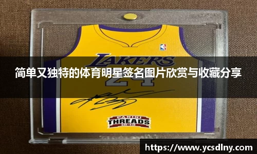 简单又独特的体育明星签名图片欣赏与收藏分享