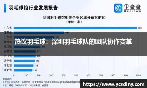 热议羽毛球：深圳羽毛球队的团队协作变革