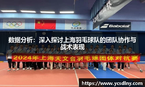 数据分析：深入探讨上海羽毛球队的团队协作与战术表现