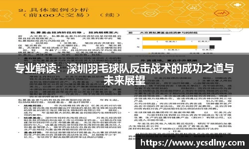 专业解读：深圳羽毛球队反击战术的成功之道与未来展望