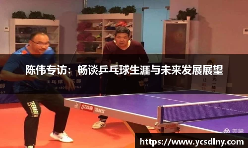 陈伟专访：畅谈乒乓球生涯与未来发展展望