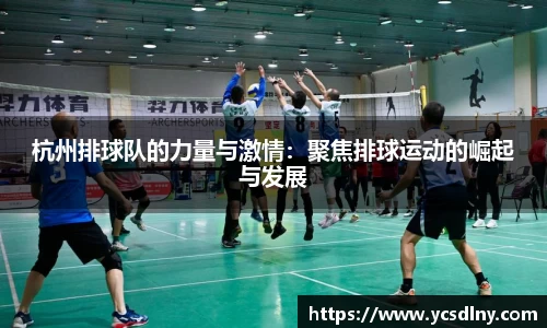 jinnianhui金年会