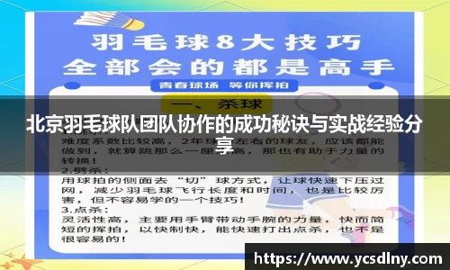 北京羽毛球队团队协作的成功秘诀与实战经验分享