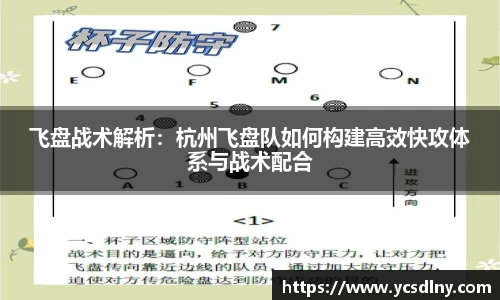 飞盘战术解析：杭州飞盘队如何构建高效快攻体系与战术配合