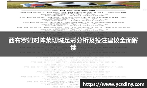 金年会