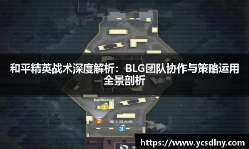 金年会